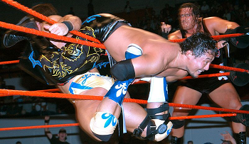 luchadores profesionales en acción