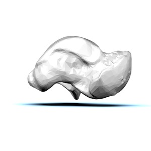 Estructura del hueso astrágalo