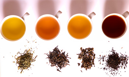 Una imagen que muestra cómo cambia el color del té según el grado de fermentación, de té verde a té negro