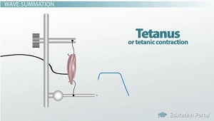 Imagen de tétanos
