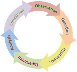 ciclo de consulta