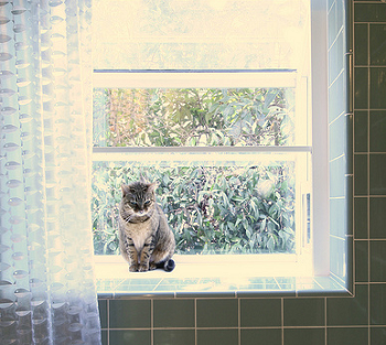 Alféizar de ventana de azulejos