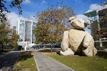 Oso Tim Hawkinson