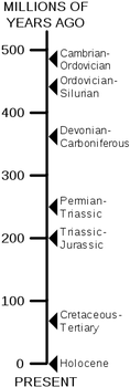 nulo