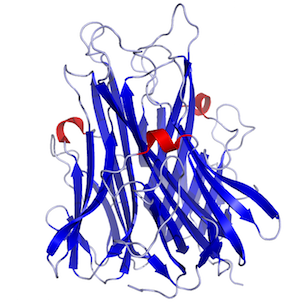 factor de necrosis tumoral