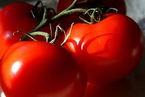 Los tomates contienen licopeno
