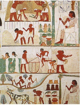 Pintura de la tumba egipcia de prácticas agrícolas