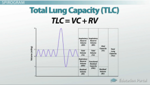 Fórmula de capacidad pulmonar total