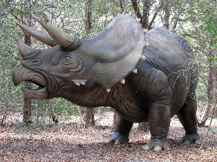 tricera