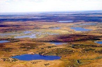 Imagen de la tundra