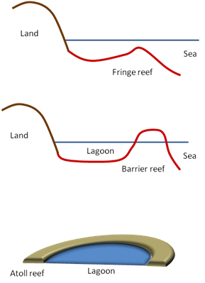 tipos de arrecifes