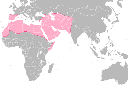 Mapa del imperio omeya en rosa en su apogeo superpuesto a las fronteras modernas