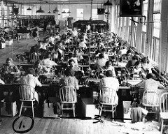 trabajadores de fabrica