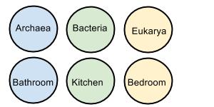 Comparación de habitaciones con dominios