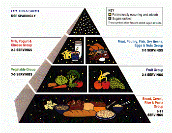 Pirámide alimenticia del USDA