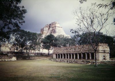 Pirámide del mago de Uxmal dentro de un fondo de selva tropical, incluyendo otra estructura en primer plano y muros de piedra.