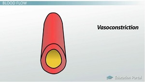 Diagrama de vasoconstricción