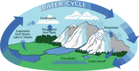 El ciclo del agua
