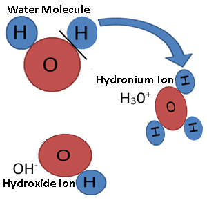 waterandions