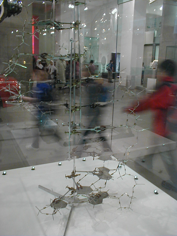 modelo de ADN de Watson Crick