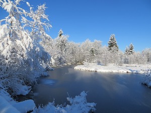 lago de invierno