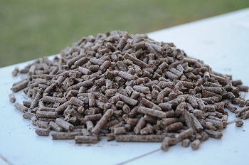 madera
