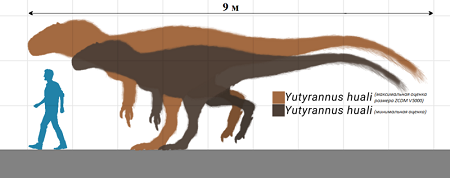 Una ilustración de 2 estimaciones de tamaño para el yutyrannus junto a un humano promedio.