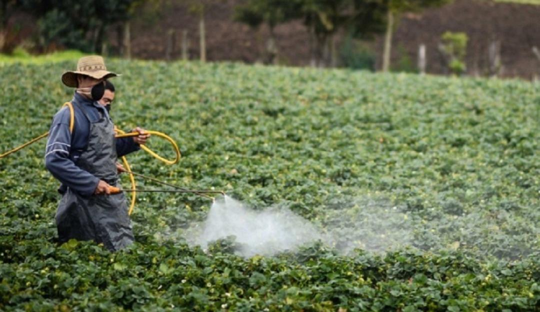 El glifosato se utiliza como herbicida en la agricultura.