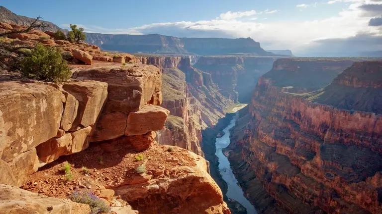 Las barreras geográficas drásticas aíslan los flujos genéticos de las poblaciones, obligándolas a tomar caminos evolutivos independientes.