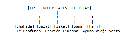 Los cinco pilares del Islam