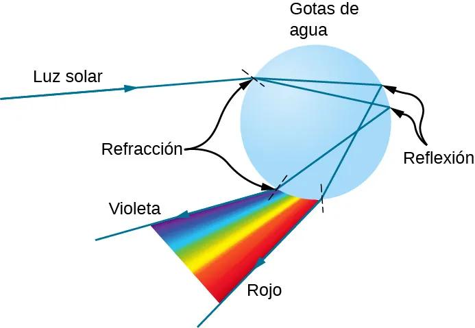 Trayectoria de la luz dentro de una gota de lluvia. La combinación de refracciones y reflexiones descompone la luz solar blanca en sus longitudes de onda componentes.