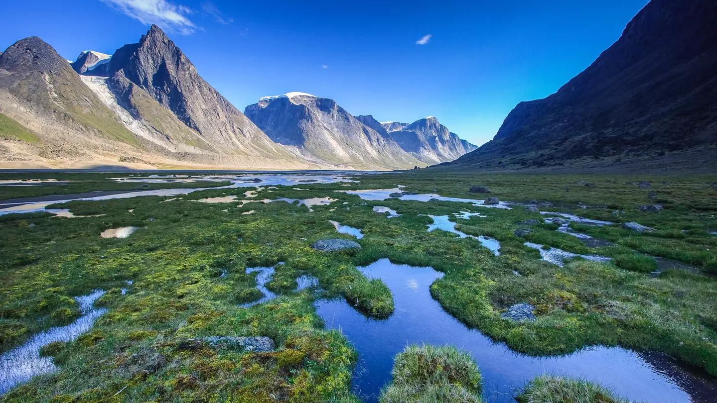 Los humedales estacionales de la tundra ártica se forman durante el breve verano debido a la incapacidad del agua de deshielo para filtrarse a través del permafrost subterráneo.