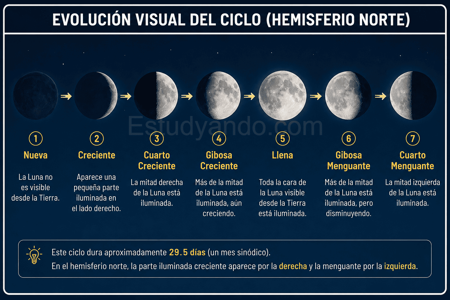 Ciclos de la Luna
