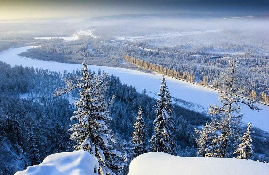 Bosques boreales (taiga)