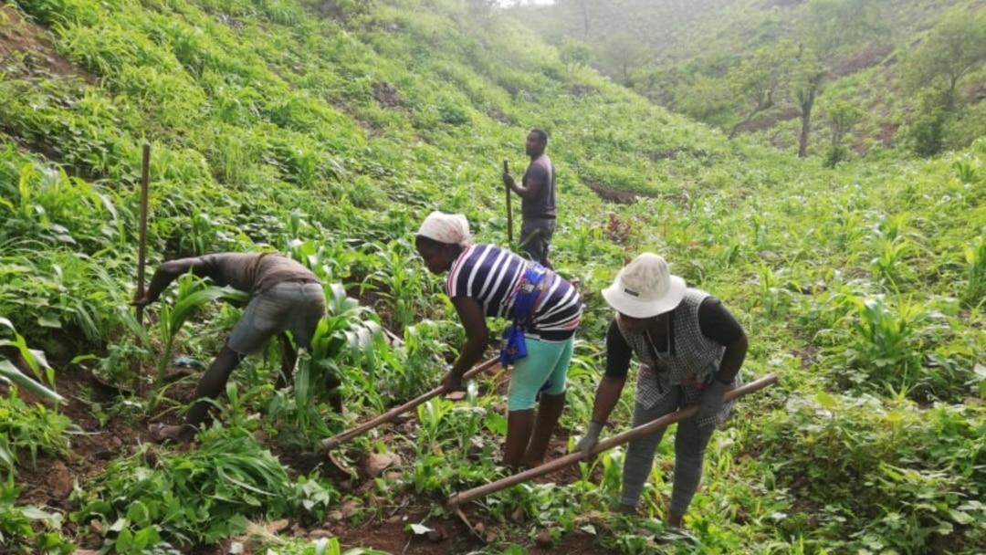 agricultura en cabo verde