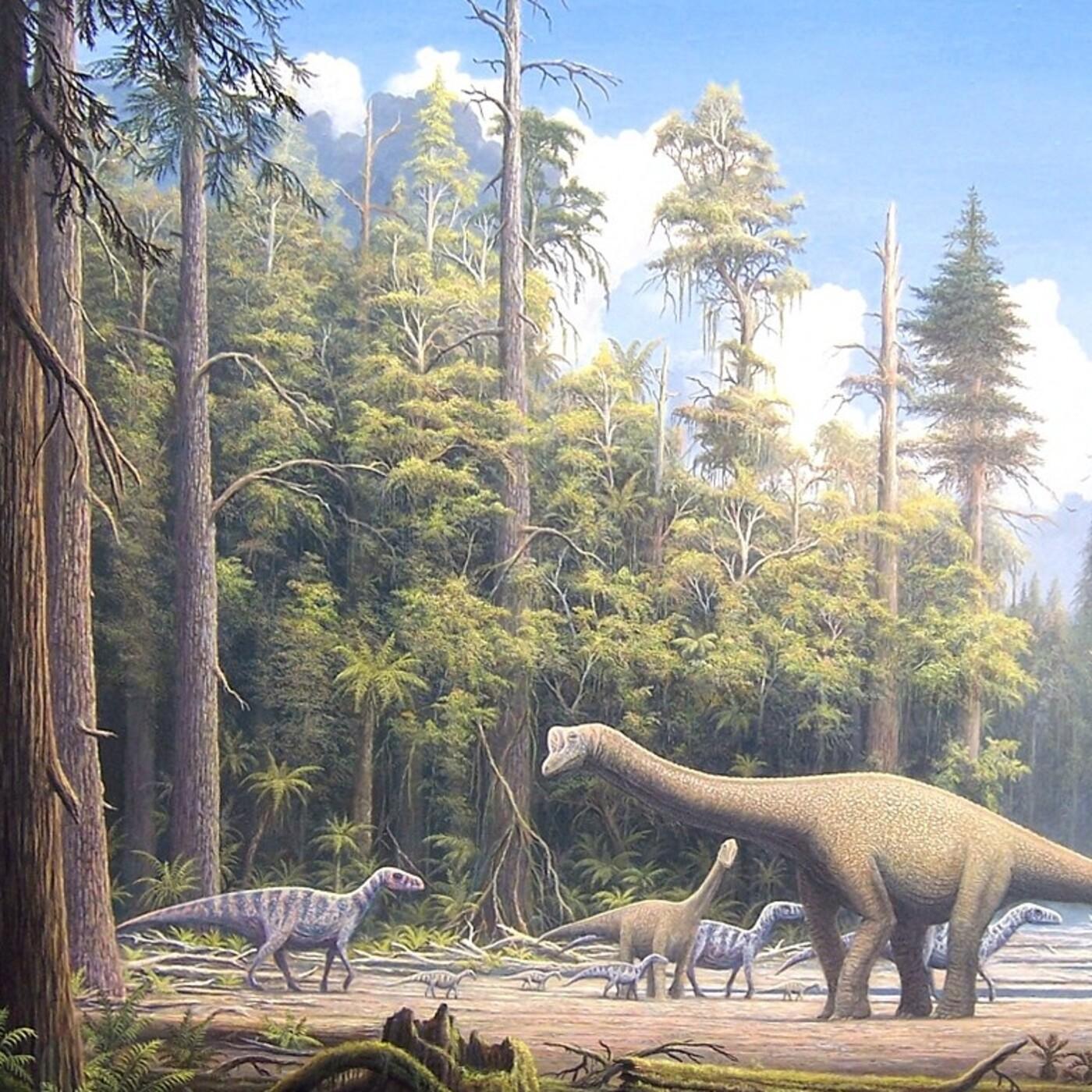 Las coníferas fueron los verdaderos gigantes del Mesozoico, formando extensos bosques que dominaban gran parte de los ecosistemas terrestres durante el Jurásico y Cretácico.