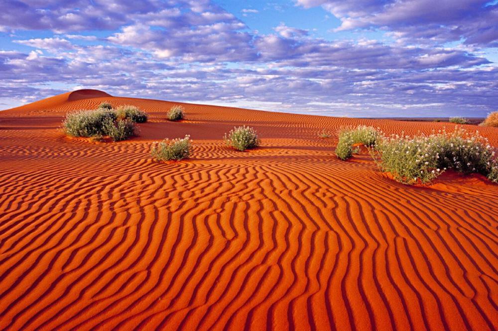 El Gran Desierto de Victoria es el desierto más grande de Australia, ubicado entre Australia Occidental y Australia Meridional.