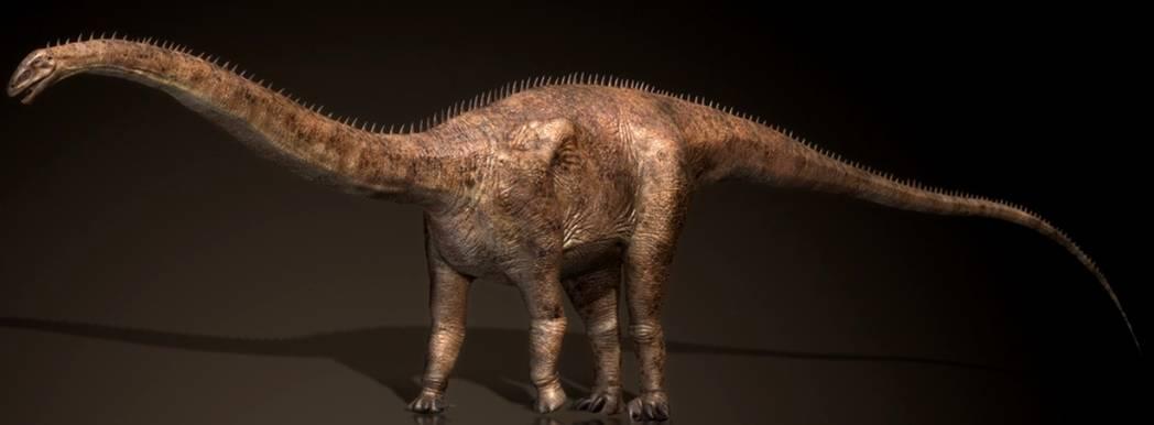 El Diplodocus fue uno de los dinosaurios más largos que existieron. Vivió hace aproximadamente 155–145 millones de años, durante el Jurásico tardío, en lo que hoy es Norteamérica.