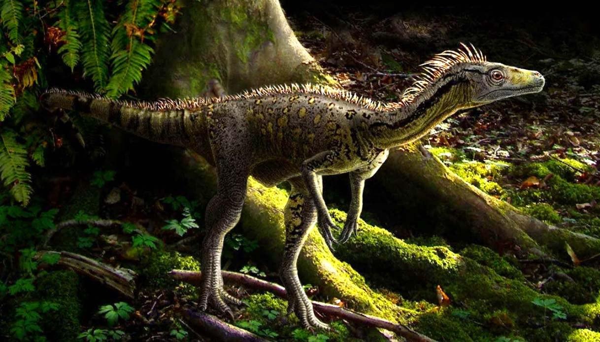 Eoraptor tenia un tamaño pequeño: alrededor de 1 a 1,7 metros de longitud