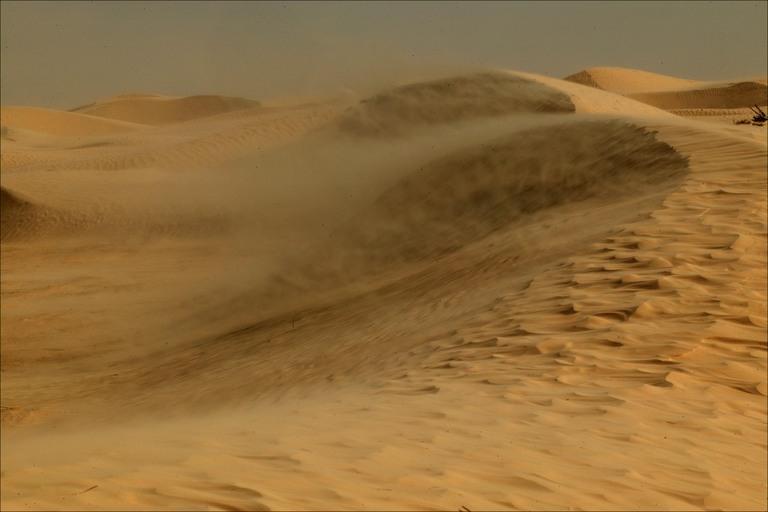 El Sahara es una de las regiones con vientos más intensos y constantes del planeta, responsables de moldear el paisaje desértico y transportar enormes cantidades de polvo.
